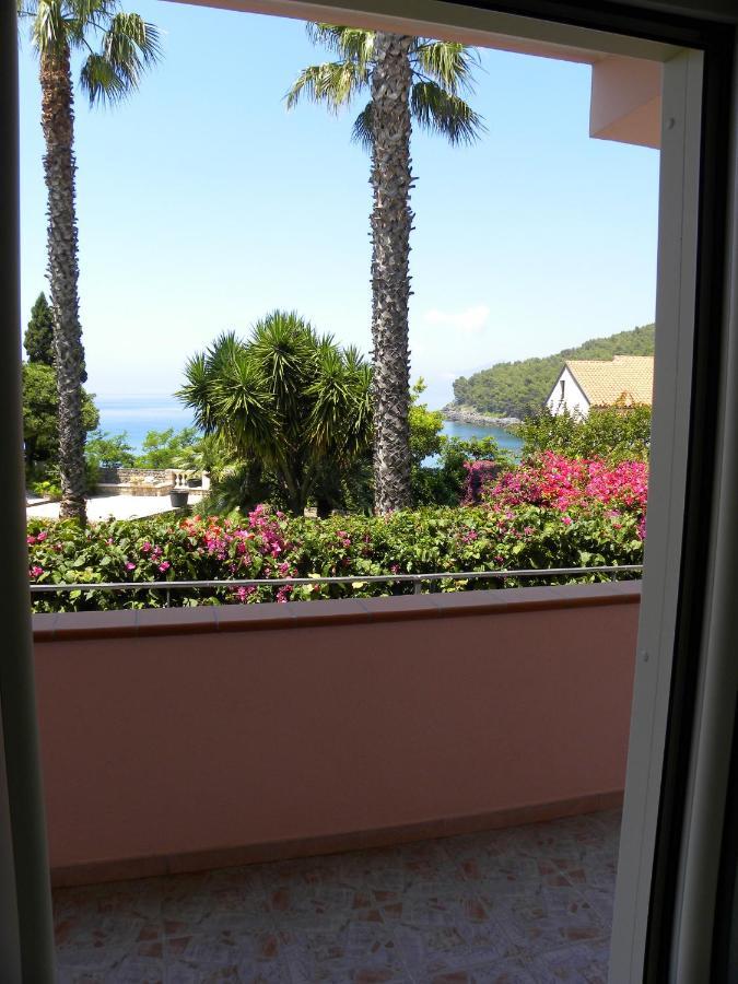 Comfortable Apartment In Maratea With Sea View 95 M² + Parking Exterior photo